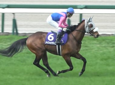【現地 本馬場入場】2026 G1 大阪杯 【阪神競馬場】