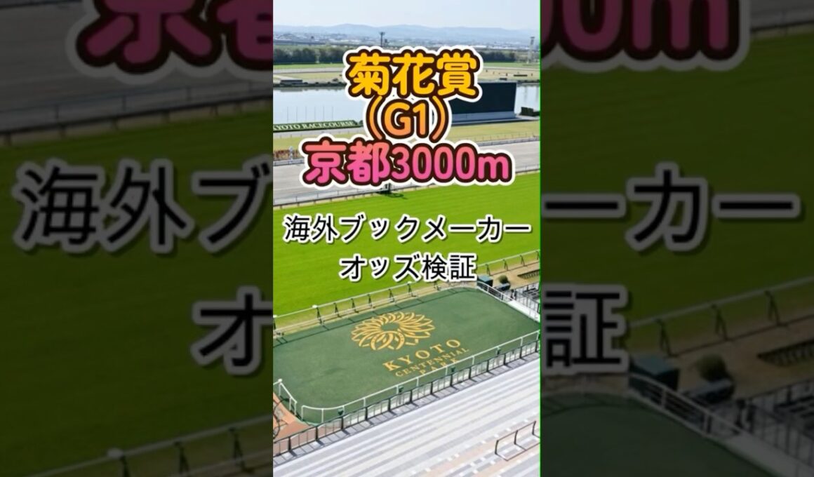 【菊花賞2025】海外ブックメーカーが選ぶ本命馬は？ #菊花賞 #競馬 #海外オッズ #ブックメーカー #競馬予想 #JRA #G1 #クラシック三冠 #競馬好きと繋がりたい