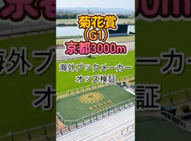 【菊花賞2025】海外ブックメーカーが選ぶ本命馬は？ #菊花賞 #競馬 #海外オッズ #ブックメーカー #競馬予想 #JRA #G1 #クラシック三冠 #競馬好きと繋がりたい