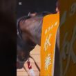 秋華賞優勝馬エイブロイダリーの勇姿　京都競馬場　20251019