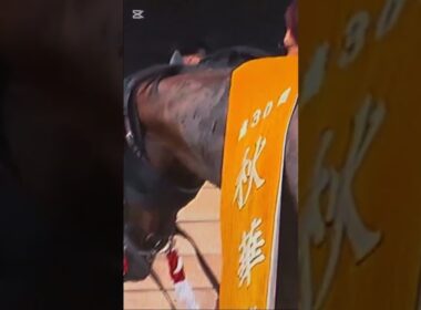 秋華賞優勝馬エイブロイダリーの勇姿　京都競馬場　20251019