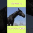 ヴェラアズール特別展示｜ジャパンカップ優勝馬に会ってきた【GW限定】