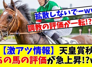 【天皇賞 秋】【激アツ情報】天皇賞秋出走予定のあの馬の評価が急上昇してしまっている件について!?www