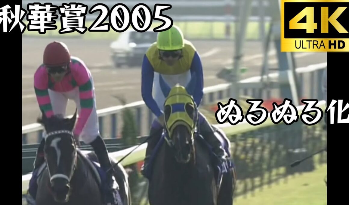 エアメサイア  秋華賞 2005 ぬるぬる化で見よう conv to 60fps