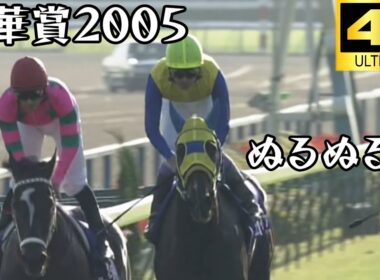 エアメサイア  秋華賞 2005 ぬるぬる化で見よう conv to 60fps