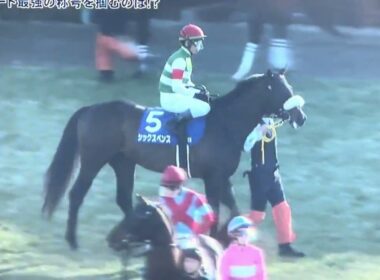 2026年 フェブラリーステークス ファンファーレ🎶