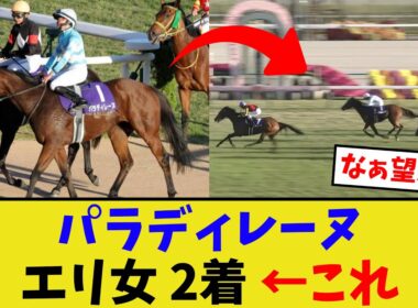 パラディレーヌ、エリザベス女王杯2着【競馬反応集】