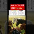 NHKマイルC枠順 #g1 #競馬予想