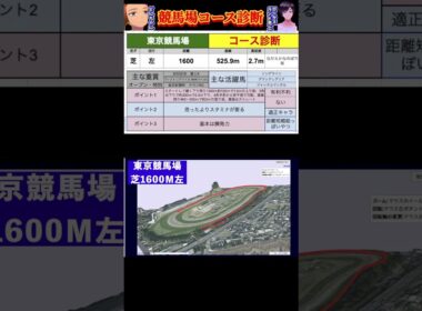 (コース診断)東京競馬場1600m芝　#競馬　#nhkマイルカップ #ヴィクトリアマイル　#安田記念
