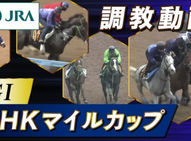 【調教動画】2026年 NHKマイルカップ｜JRA公式