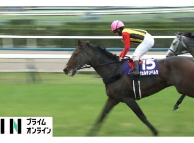 【天皇賞（春）・GⅠ】春の盾巡る戦いは歴史に残る大接戦に！クロワデュノール×北村友一騎手　最強を証明！