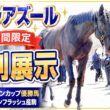 ヴェラアズール特別展示｜ジャパンカップ優勝馬に会ってきた【GW限定】