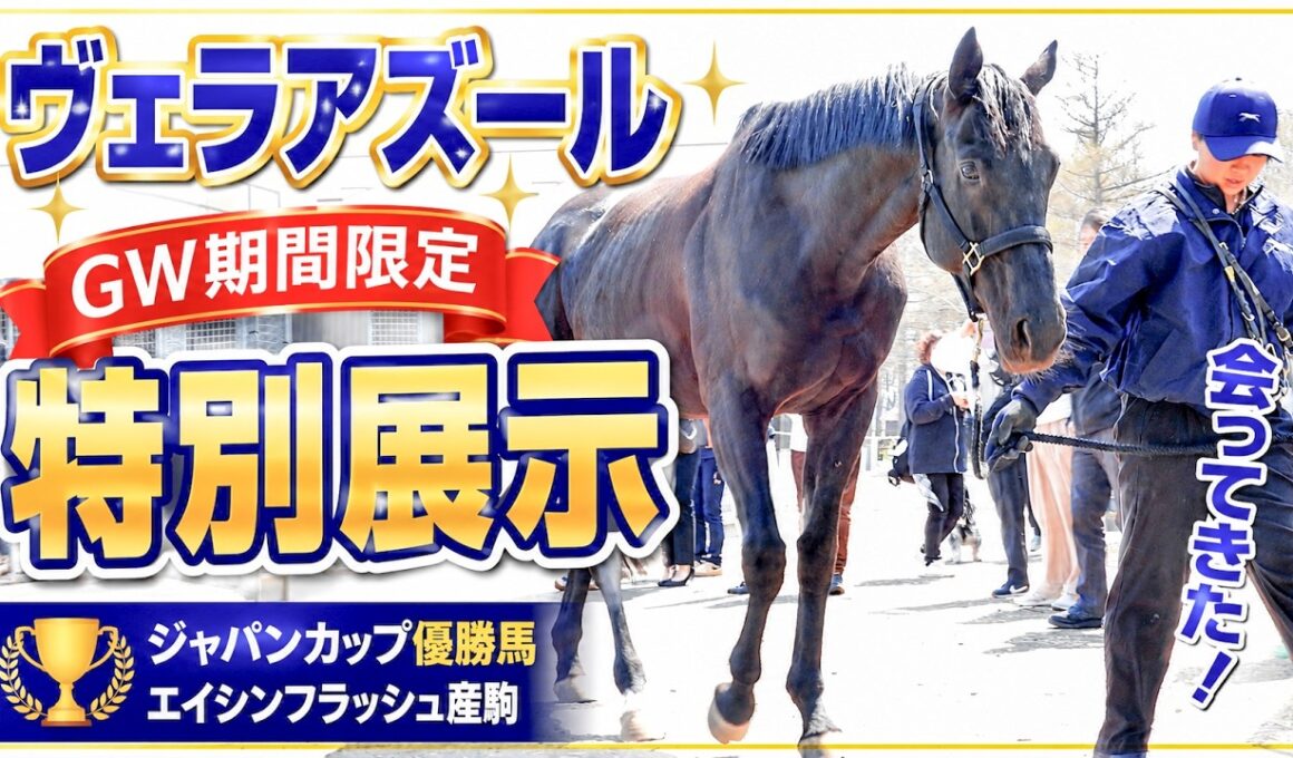 ヴェラアズール特別展示｜ジャパンカップ優勝馬に会ってきた【GW限定】