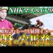 【NHKマイルカップ2026】【レース展開】枠順確定後の渾身の穴馬とレース展開　予想•見解