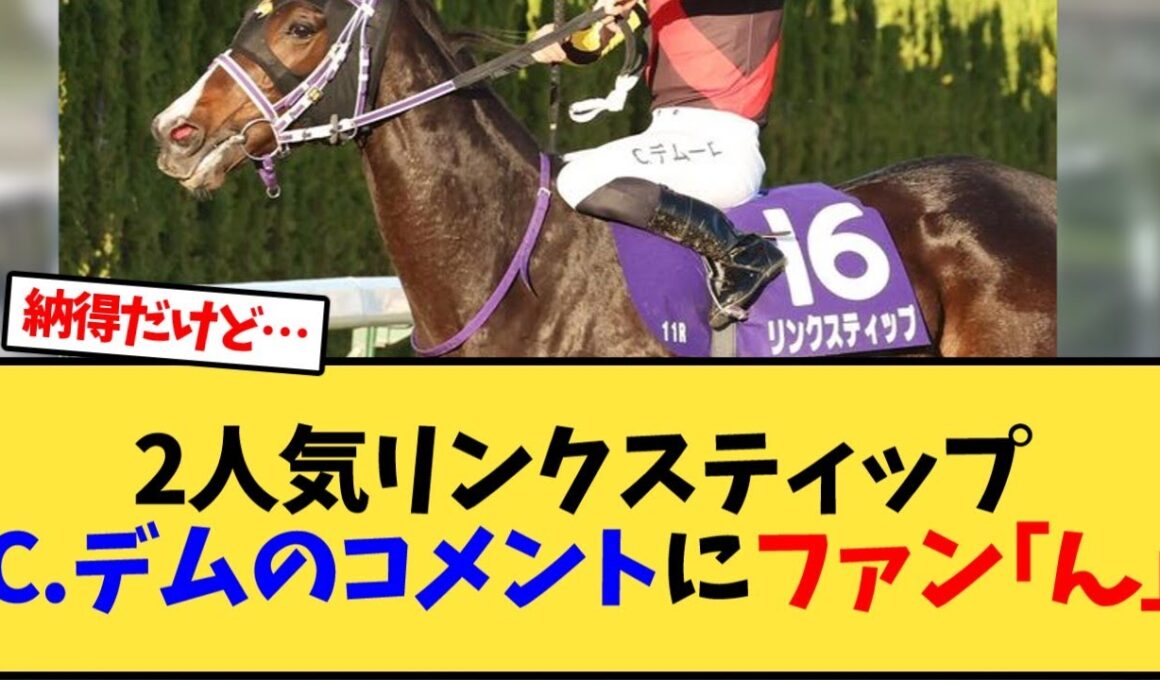 【エリザベス女王杯】2人気リンクスティップCデムーロのコメントにファン｢ん｣【競馬反応集】