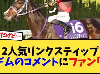 【エリザベス女王杯】2人気リンクスティップCデムーロのコメントにファン｢ん｣【競馬反応集】