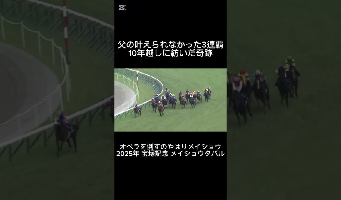 2025年 宝塚記念 メイショウタバル   10年越しに繋いだ奇跡  #競馬 #ゴールドシップ #メイショウタバル #宝塚記念 #ニュース #jra #競走馬 #short #武豊  #競馬予想