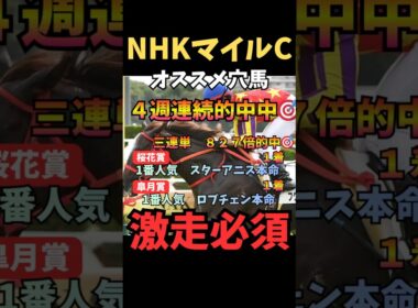【NHKマイルC2026】オススメ穴馬/フクチャンショウ#nhkマイルカップ #フクチャンショウ #競馬 #競馬予想 #うまログ #ウマキング #中央競馬予想 #競馬予想tv #粗品