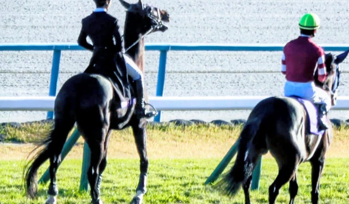 【エリザベス女王杯2025】本馬場入場で誘導馬のペルシアンナイトがボンドガール通過後に走りたくなって暴れる⁉ 現地映像 レガレイラ