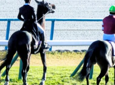 【エリザベス女王杯2025】本馬場入場で誘導馬のペルシアンナイトがボンドガール通過後に走りたくなって暴れる⁉ 現地映像 レガレイラ
