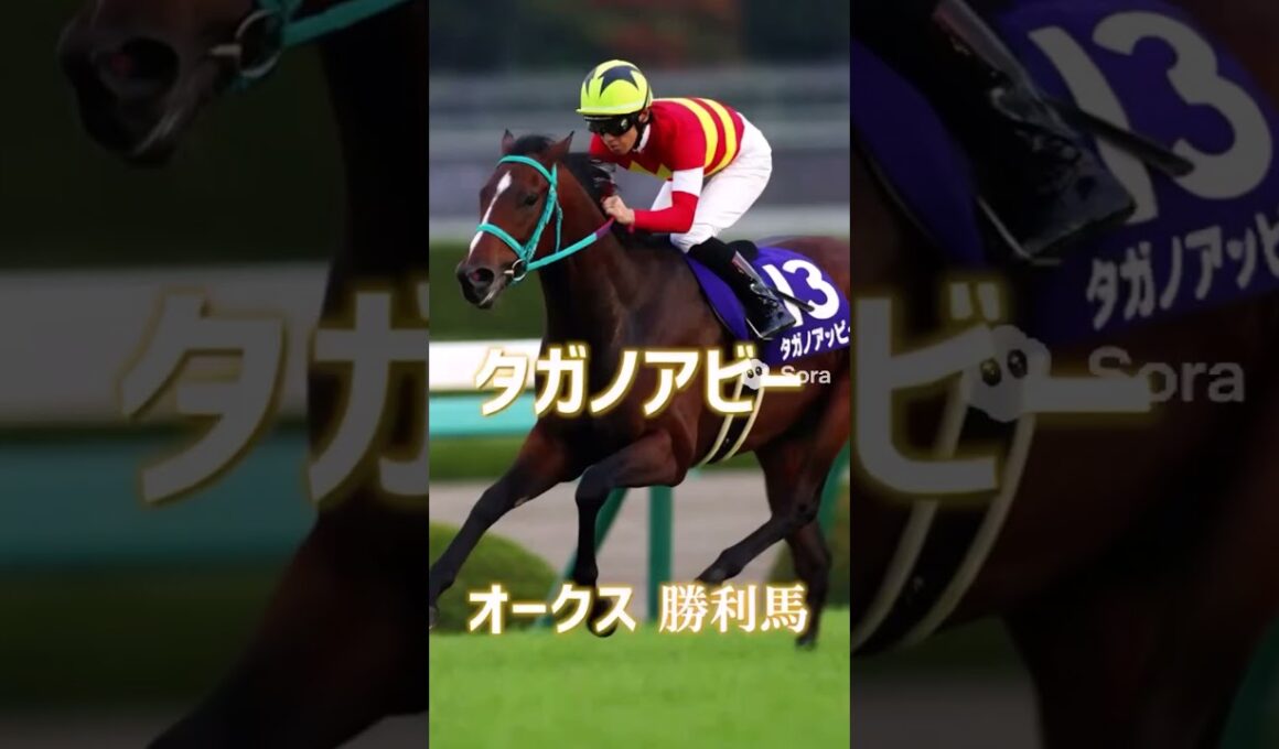 AIさん時空の秋華賞嘘予告 　#sora2 #競馬 #秋華賞　#私はエリカエクスプレス復活を信じて #フィクション