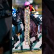 【京都新聞杯2026】母クロノジェネシスの息子が皐月賞回避を経てダービーへの最終便に乗る ベレシートの賭け