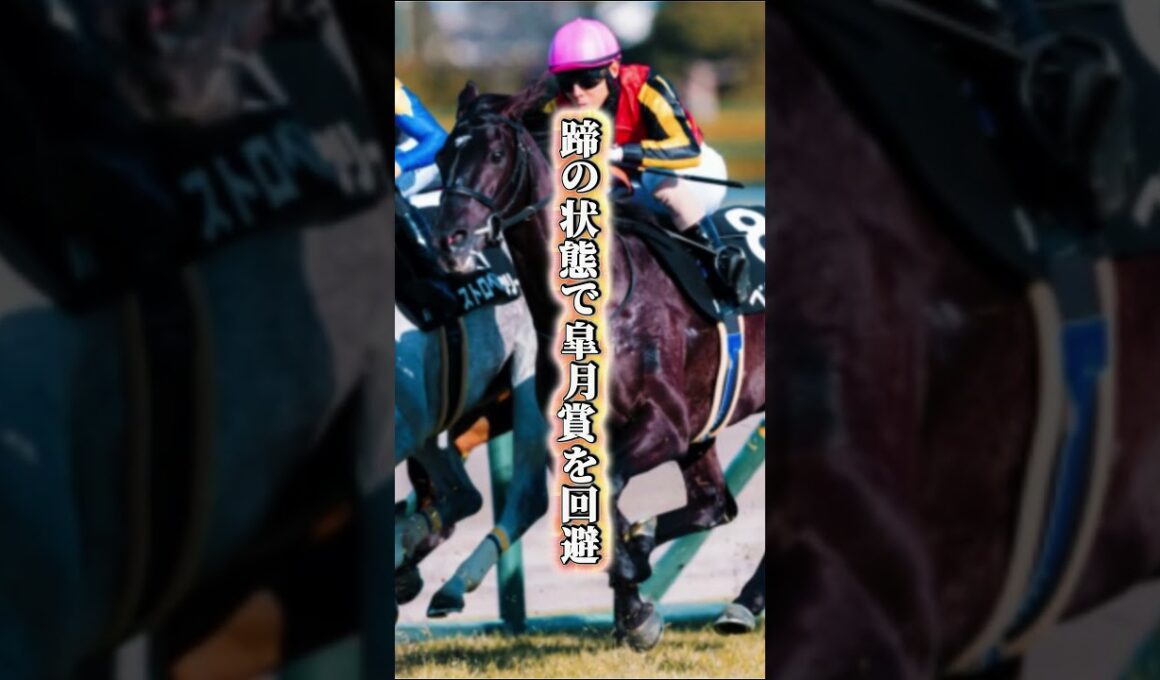 【京都新聞杯2026】母クロノジェネシスの息子が皐月賞回避を経てダービーへの最終便に乗る ベレシートの賭け