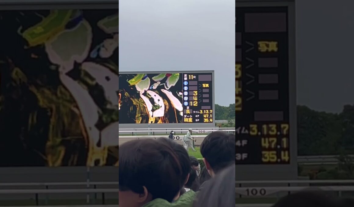 2026 GI 天皇賞(春) 確定の瞬間 現地映像 in 京都競馬場 #競馬 #天皇賞春 #春天 #クロワデュノール #京都競馬場