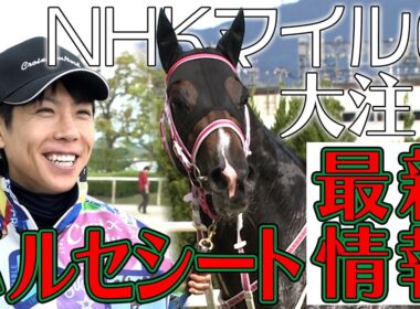 【配信限定】NHKマイルC有力馬の一角！バルセシートの評価を北村友一騎手が激白！｜ウイニングTube