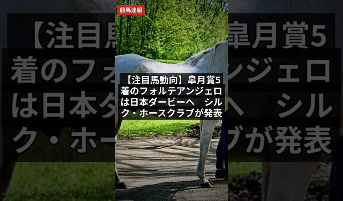 【注目馬動向】皐月賞5着のフォルテアンジェロは日本ダービーへ　シルク・ホースクラブが発表【競馬情報】5月9日 #Shorts