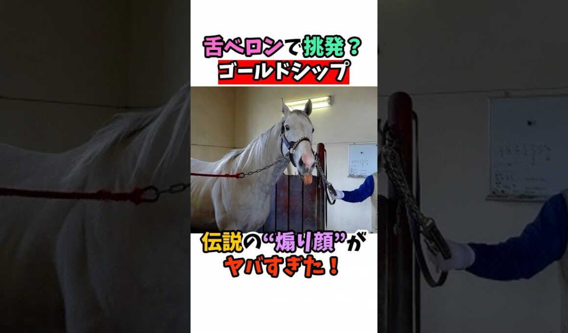 舌ベロンで挑発！？ゴールドシップ伝説の“煽り顔”がヤバすぎた！ #競馬 #horse