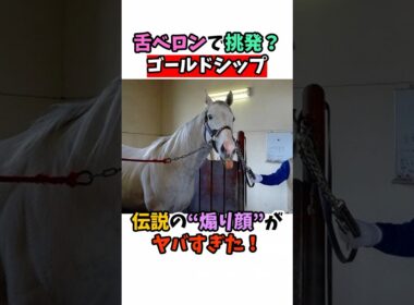 舌ベロンで挑発！？ゴールドシップ伝説の“煽り顔”がヤバすぎた！ #競馬 #horse
