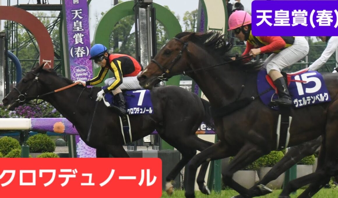 【春二冠達成！】2026年第173回天皇賞(春)（GⅠ）優勝馬クロワデュノール号【現地映像】