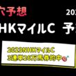 【競馬予想】　NHKマイルカップ　2026  予想