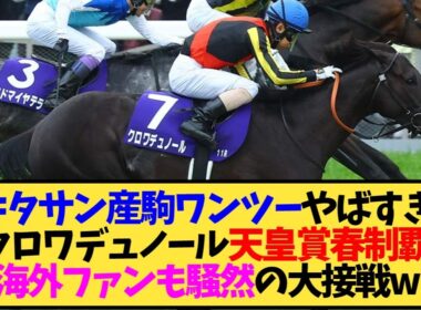 【海外の反応】【天皇賞春2026】クロワデュノール優勝に海外が大興奮wwwキタサン産駒ワンツー←これ【競馬】