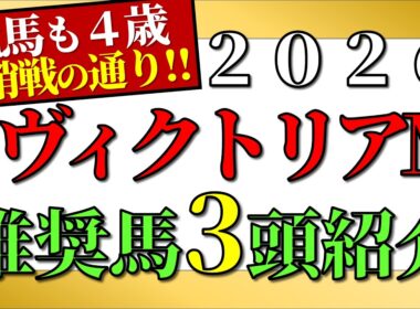 【ヴィクトリアマイル2026予想】推奨馬3頭+α紹介