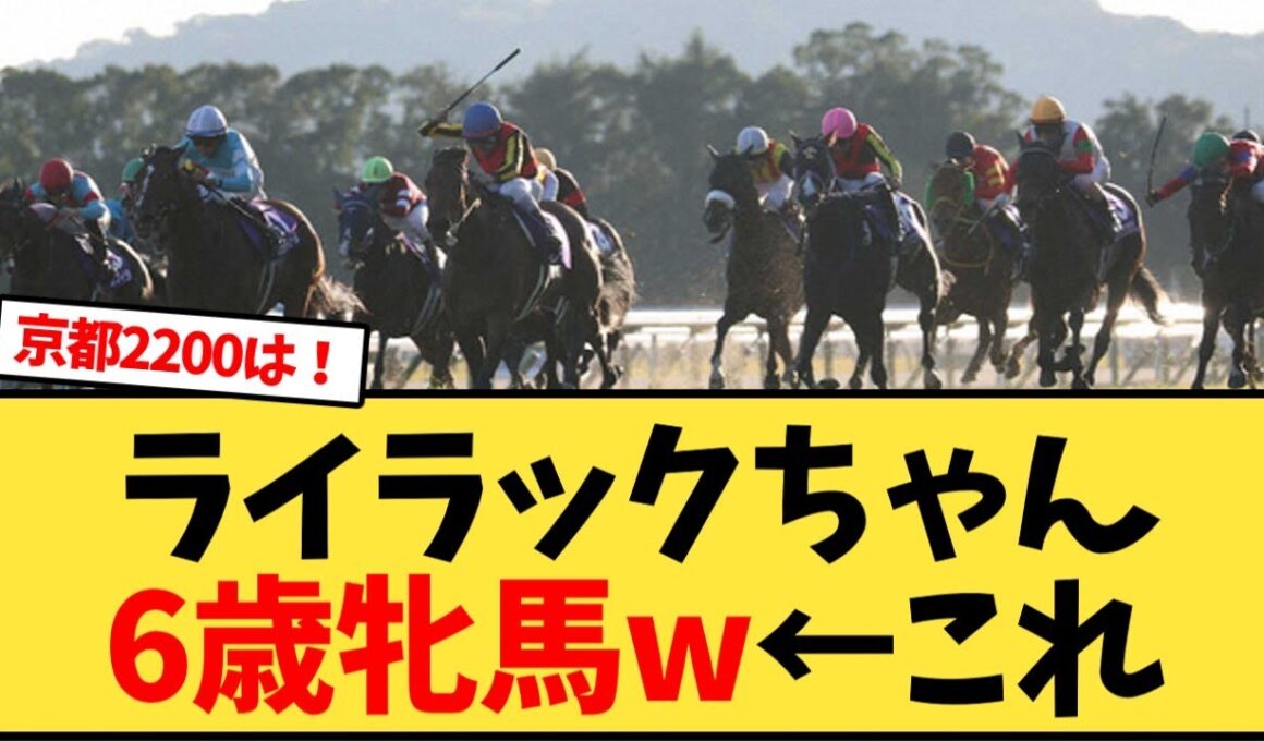 【エリザベス女王杯】ライラックちゃん3着、6歳牝馬w←これ【競馬反応集】