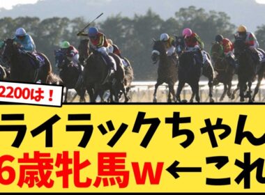 【エリザベス女王杯】ライラックちゃん3着、6歳牝馬w←これ【競馬反応集】