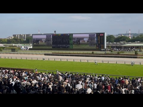 第173回天皇賞春（東京競馬場ターフビジョンから）