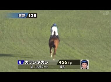 2025年第45回ジャパンカップ〔GⅠ〕本馬場入場