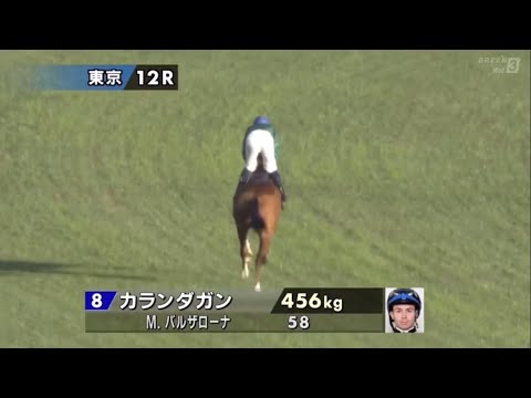 2025年第45回ジャパンカップ〔GⅠ〕本馬場入場