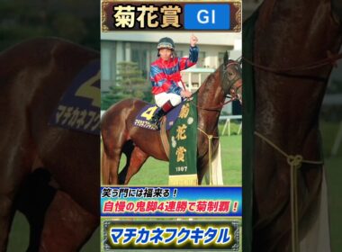 【過去の菊花賞プレイバック】笑う門には福来る！　4連勝で菊を制した『鬼脚』の上がり馬！マチカネフクキタル！【菊花賞1997】#競馬 #競馬予想 #菊花賞  #short #shorts #JRA