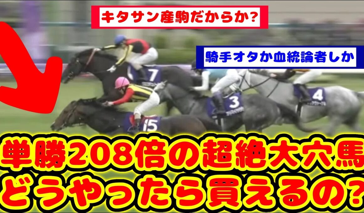 【競馬】天皇賞春で2着になった単勝208.4倍のヴェルテンベルク どうやったらこの馬を買えるのかが話題に！！