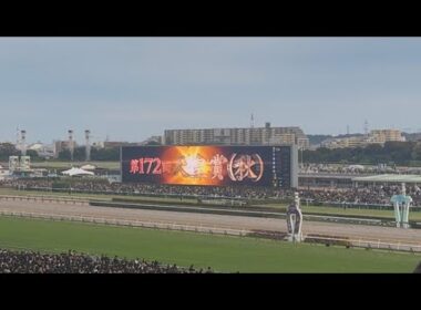 天皇賞秋2025｜現地映像ノーカット｜マスカレードボール