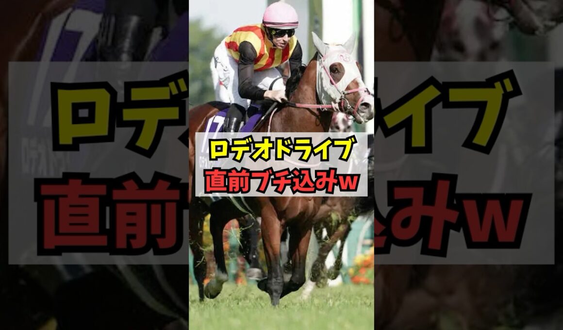 【NHKマイルカップ】ロデオドライブ、直前のオッズ急落が話題に #shorts