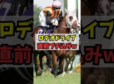 【NHKマイルカップ】ロデオドライブ、直前のオッズ急落が話題に #shorts