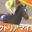 【ウオッカが衝撃の７馬身差Ｖ】2009年 ヴィクトリアマイル(ＧⅠ) ウオッカ【カンテレ公式】