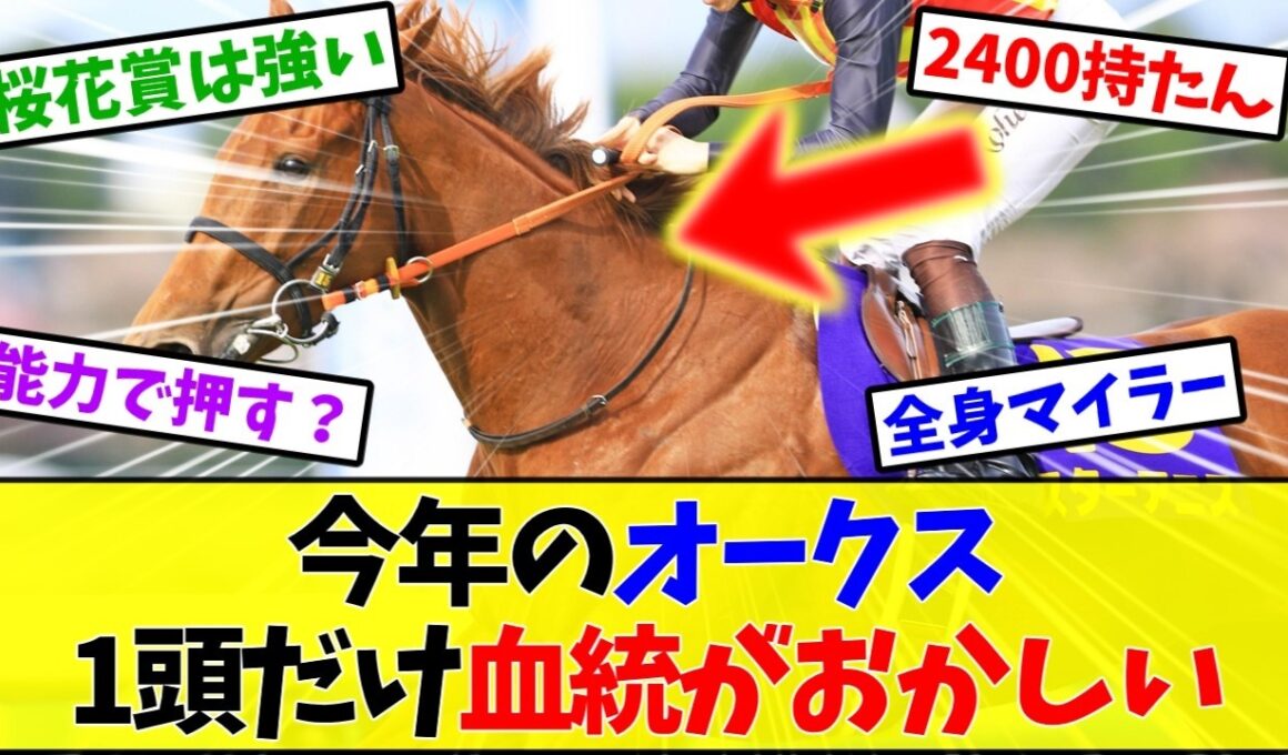【オークス2026】スターアニスの距離適性、血統論者が全員不安視してるんだが…【競馬】