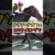 【あるのか安田…】ルクソールカフェ、このタイミングでの帰厩が話題に #shorts