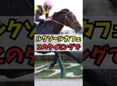 【あるのか安田…】ルクソールカフェ、このタイミングでの帰厩が話題に #shorts